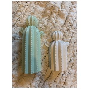 Cactus Decor